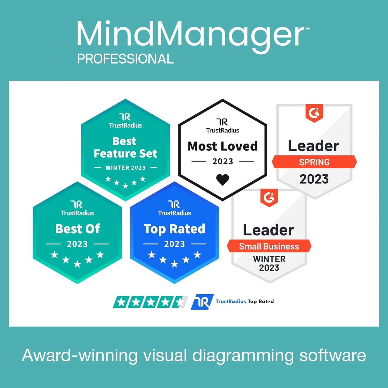 MindManager Professional | 1 Year Subscription | Powerful Visualization Tools and Mind Mapping Software [PC/Mac Download]