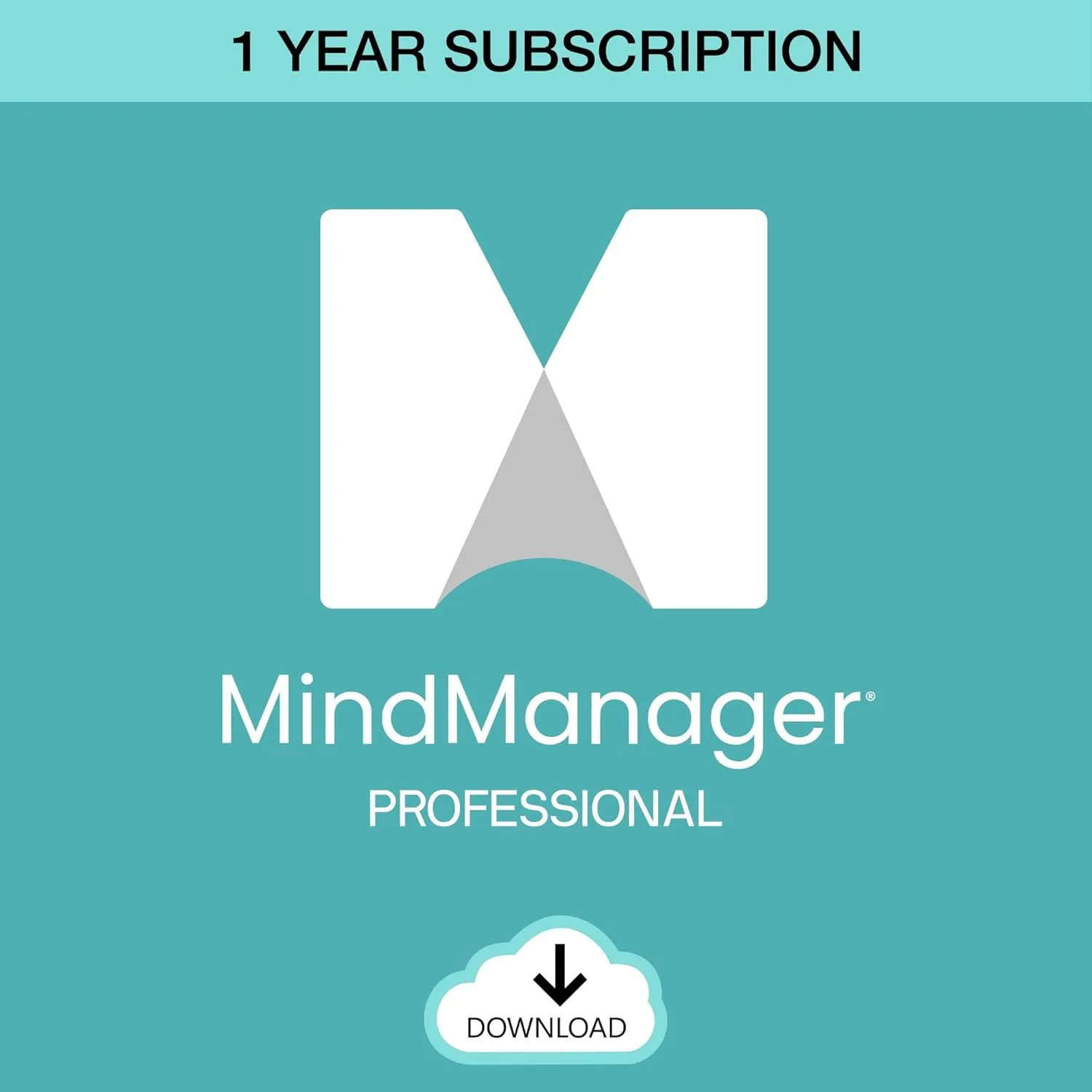 MindManager Professional | 1 Year Subscription | Powerful Visualization Tools and Mind Mapping Software [PC/Mac Download]